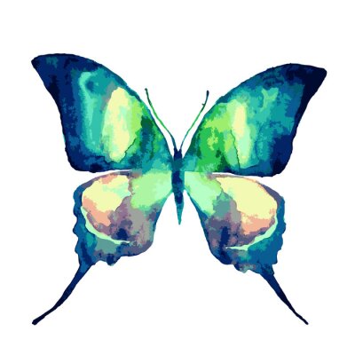 Sticker Turquoise vlinder in aquarel