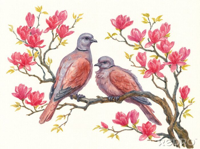Sticker Twee duiven tussen magnolia's