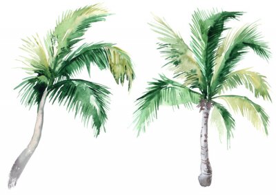 Sticker Twee kleine palmbomen aquarel illustratie