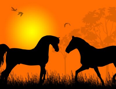 Sticker Twee paarden bij zonsondergang achtergrond vector illustratie