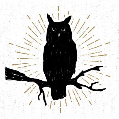 Sticker Uil op een tak met gouden stralen