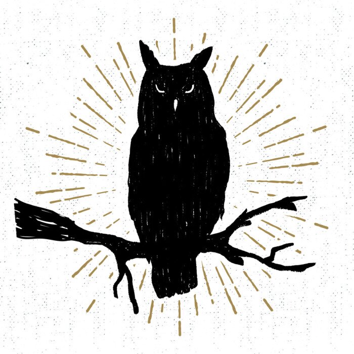 Sticker Uil op een tak met gouden stralen