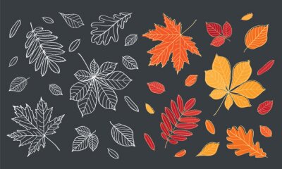 Stickers Vallen van de bladeren. Herfstbladeren worden getekend met krijt op zwarte schoolbord. Set van verschillende bladeren van de bomen. Schets, design elementen. Vector illustratie.