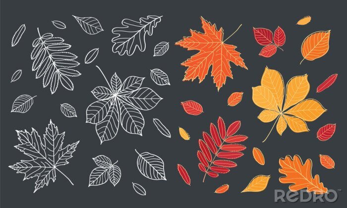 Sticker Vallen van de bladeren. Herfstbladeren worden getekend met krijt op zwarte schoolbord. Set van verschillende bladeren van de bomen. Schets, design elementen. Vector illustratie.