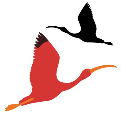 Sticker Van het de illustratie zwarte silhouet van de ibisvogel vector vlakke kant