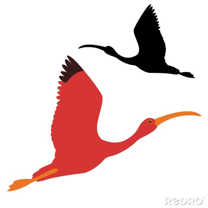 Sticker Van het de illustratie zwarte silhouet van de ibisvogel vector vlakke kant