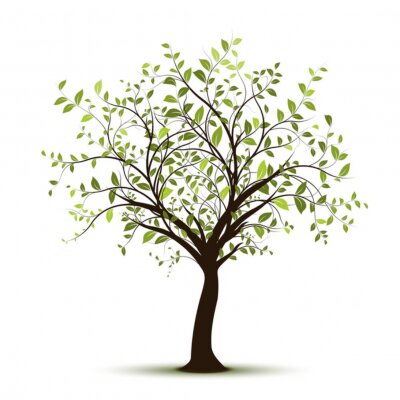 Sticker Vecteur serie, arbre vectoriel fond blanc - groene boom op wit