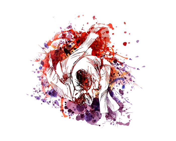 Sticker Vector color illustration of judo fighters