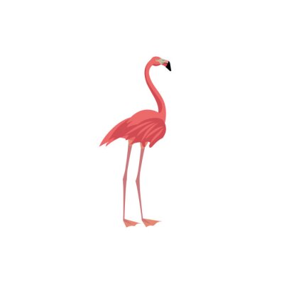 Sticker Vector illustratie Cartoon stijlicoon van flamingo. Leuk karakter voor ander ontwerp.