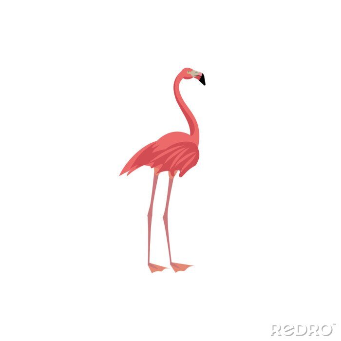 Sticker Vector illustratie Cartoon stijlicoon van flamingo. Leuk karakter voor ander ontwerp.