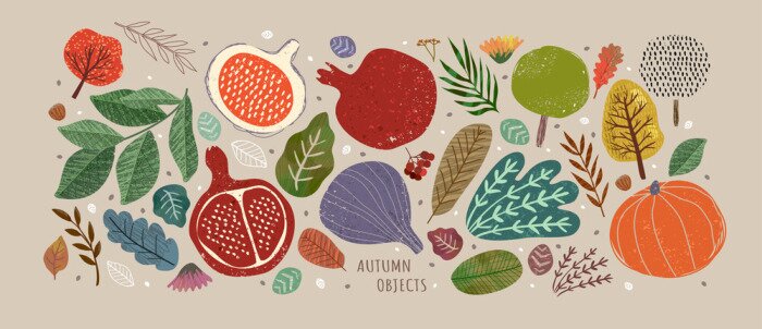 Sticker Vector illustrations of autumn objects: fruits and vegetables, harvest, trees, leaves, plants, pumpkin, pomegranates, figs and nuts. Cute freehand drawings to create a poster or card.