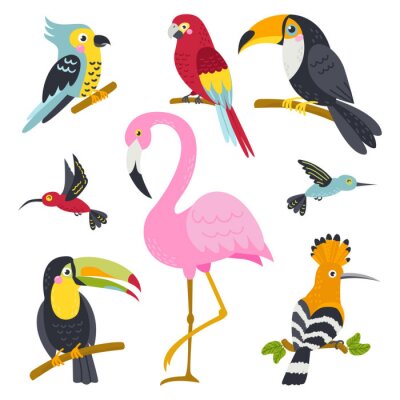 Sticker Vector set of cute birds from jungle