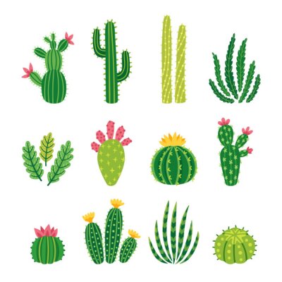 Sticker Vector set van heldere cactussen, aloë en bladeren. Verzameling van exotische planten. Decoratieve natuurlijke elementen zijn geïsoleerd op wit. Cactus met bloemen.