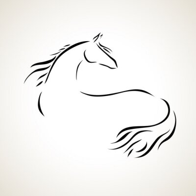vector tekening paard