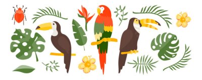 Sticker Vector Tropical set of exotic elements in flat style hand drawn. Palm leaves, tropical plants, flowers, leaves, birds, fruits. Warm summer colors and colorful flat graphics. Stickers, travel