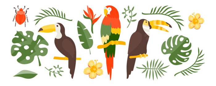 Sticker Vector Tropical set of exotic elements in flat style hand drawn. Palm leaves, tropical plants, flowers, leaves, birds, fruits. Warm summer colors and colorful flat graphics. Stickers, travel