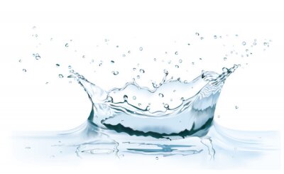  vector water splash kroon
