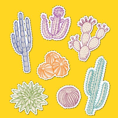 Sticker Vectorhand getrokken woestijncactussen plant gekleurde stickers van vastgestelde illustratie