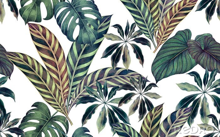 Sticker Veelkleurige bladeren van tropische planten