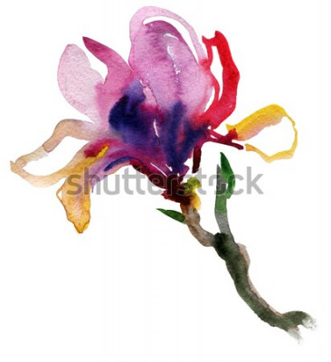Sticker Veelkleurige magnolia beschilderd met verf