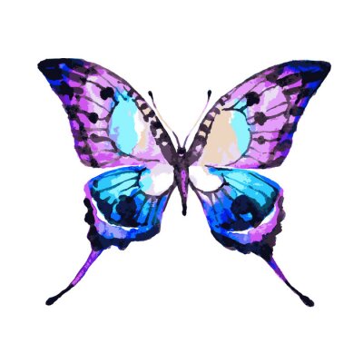 Sticker Veelkleurige vlinder in aquarel