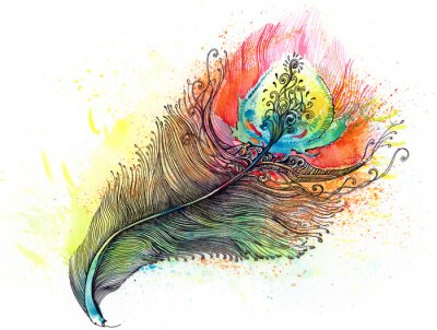 Sticker Veer in regenboogtinten