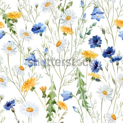 Sticker Veld bloemen op een witte achtergrond