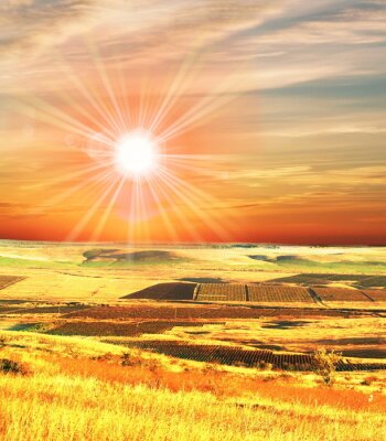 Veld en zonnestralen