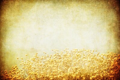 Veld op vintage achtergrond