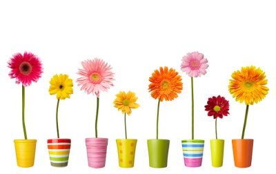 Sticker Veldbloemen in potten