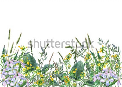 Sticker Veldbloemen op een botanische illustratie