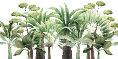 Sticker Verschillende soorten tropische bomen