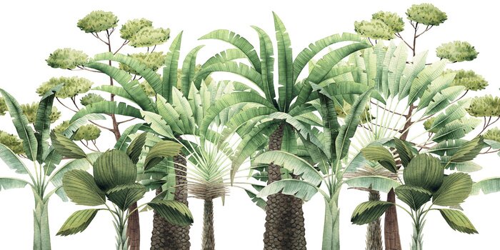 Sticker Verschillende soorten tropische bomen