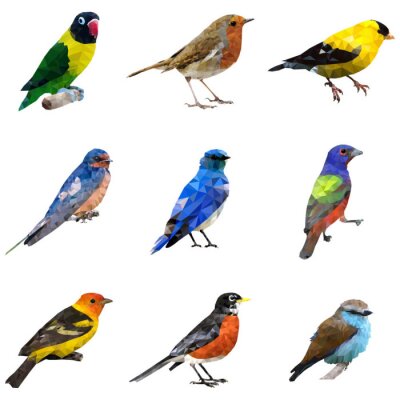Sticker Verschillende Type of Birds