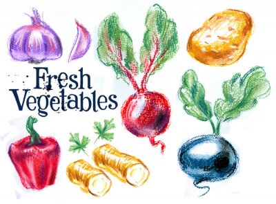 Sticker verse groenten op een witte achtergrond. schets, illustratie