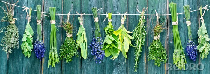 Sticker Verse tuinkers op een witte achtergrond