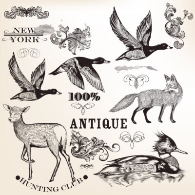 Sticker Verzameling van vector hand getekende dieren en bloeit