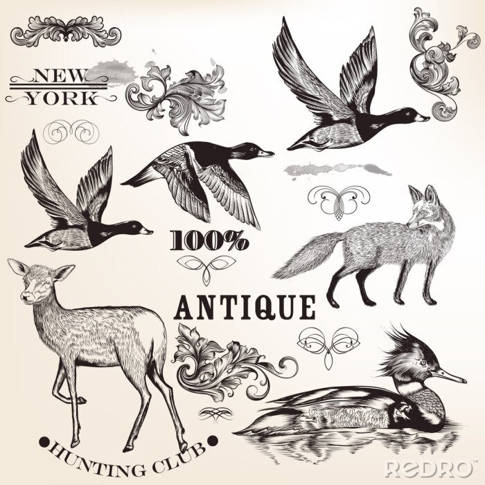 Sticker Verzameling van vector hand getekende dieren en bloeit