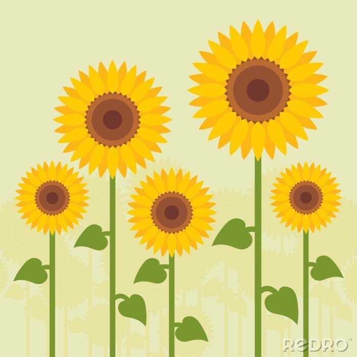 Sticker Vijf zonnebloemen in de illustratie