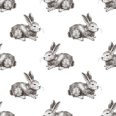 Sticker Vintage ontwerp met konijnen