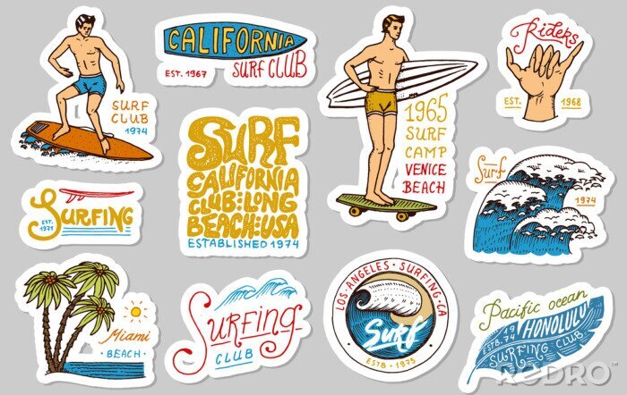 Sticker Vintage surfer-insignes. Tropische stickers en Californië. Golf, palmboom en oceaan. Man op de surfplank, zomer strand en zee. Gegraveerde embleemhand getrokken. Banner of poster. Sport in Hawaii.