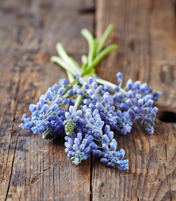 Sticker Violette bloemen gerangschikt op houten planken