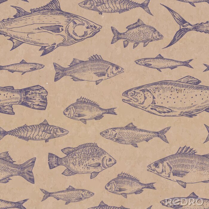 Sticker Vis op een stevige achtergrond