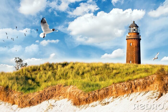 Sticker Vliegende meeuwen bij de vuurtoren