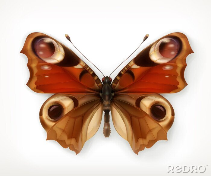 Sticker Vlinder aan een realistische afbeelding