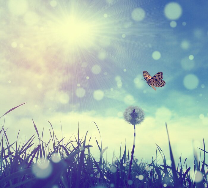 Sticker Vlinder in een retro foto