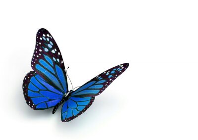 Sticker Vlinder met opgeheven vleugels