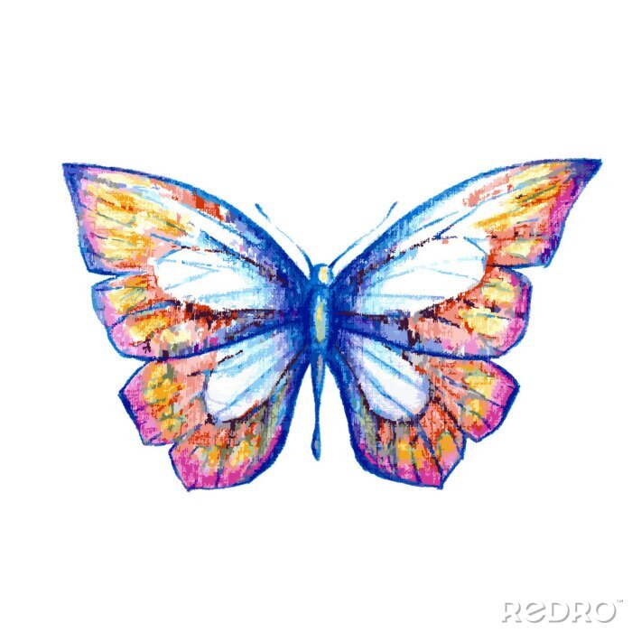 Sticker Vlinder met pastelkleurige vleugels