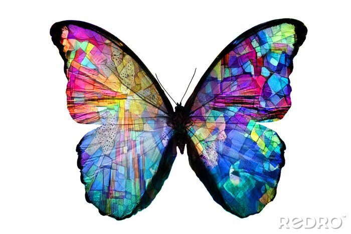 Sticker Vlinder met regenboogmozaïeken op de vleugels