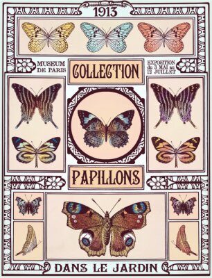 Vlinders vintage collectie